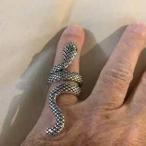 Elegant Silver Snake Ring